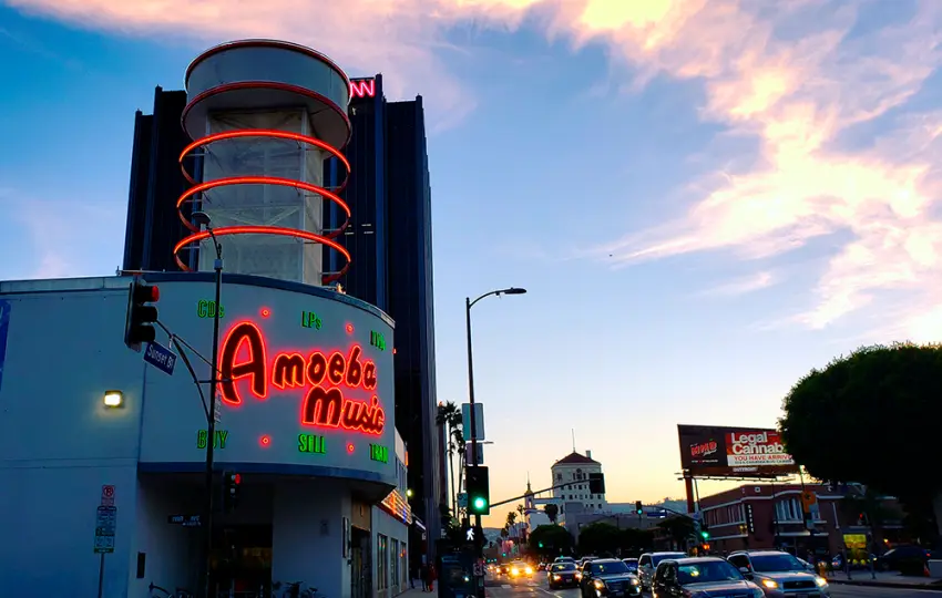 amoeba