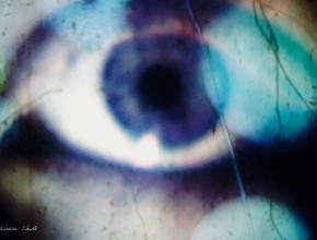 l'oeil sauvage par johanna vaude film super 8 experimental et hybride