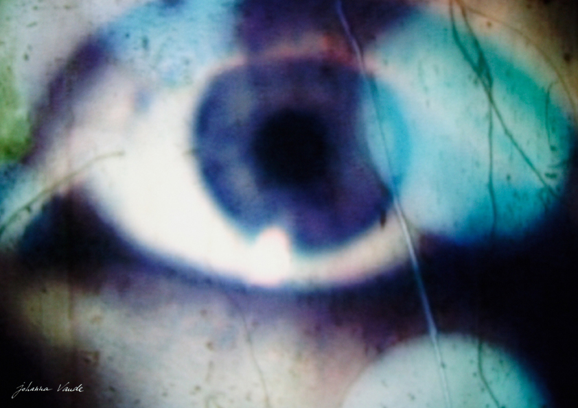 Johanna vaude oeil sauvage 01