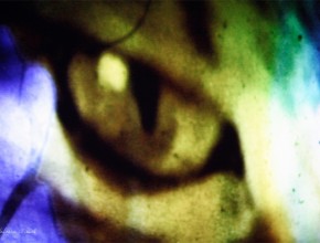 l'oeil sauvage par johanna vaude film super 8 experimental et hybride hand painting film