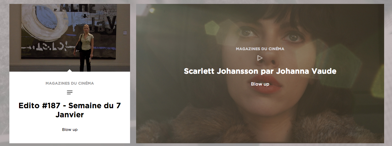 Scarlett-Johansson-par-johanna-vaude-blow-up-arte