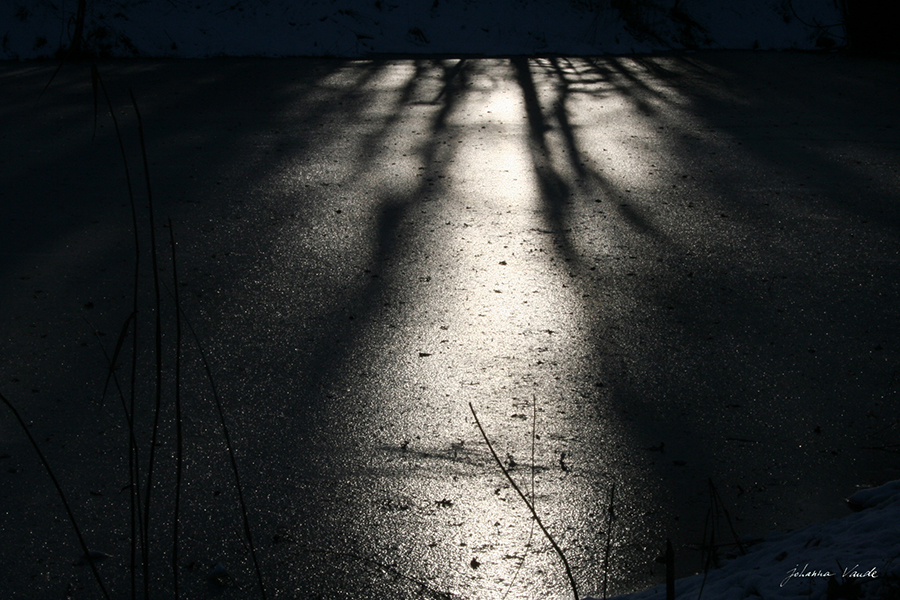 hiver étang gelé lumière noire par johanna vaude