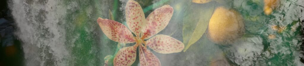 Opera cavalleria rusticana johanna vaude beaute sicile 6