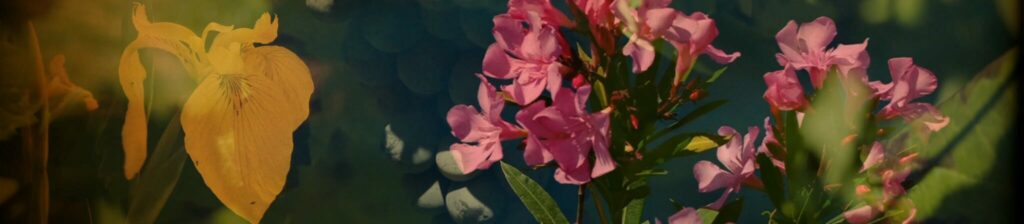 Opera cavalleria rusticana johanna vaude beaute sicile 7 2048x448