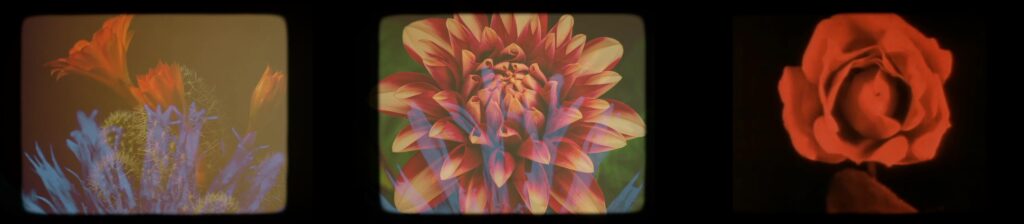 Opera cavalleria rusticana johanna vaude paques 2 copie