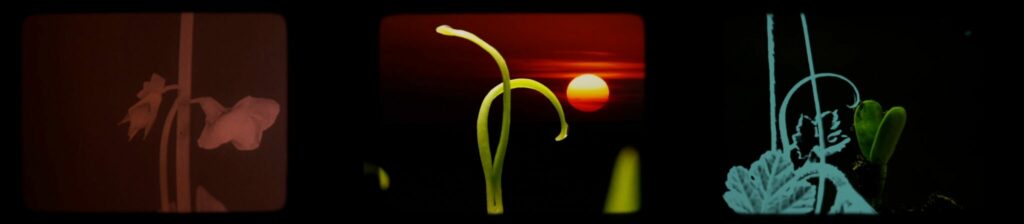 Opera cavalleria rusticana johanna vaude paques 3 2048x448